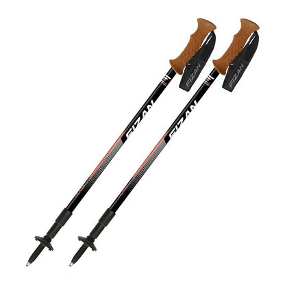 Fizan - Tierra Trekking Poles