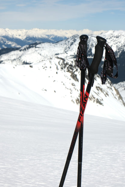 Fizan - Compact 3 Trekking Poles